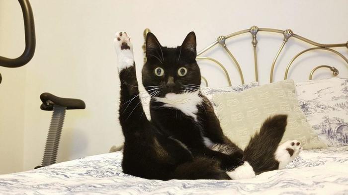 Оставьте заявку на доступ к Kraftblick Media Оставьте заявку на доступ к Kraftblick Media